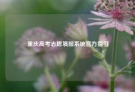 重庆高考志愿填报系统官方指引