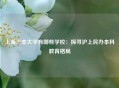 上海三本大学有哪些学校：探寻沪上民办本科教育格局