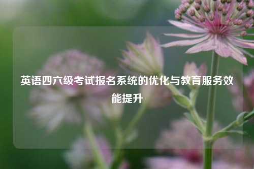 英语四六级考试报名系统的优化与教育服务效能提升