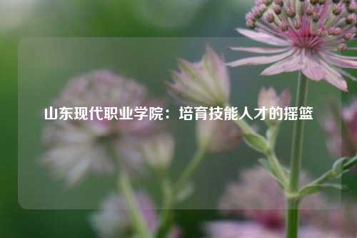 山东现代职业学院：培育技能人才的摇篮