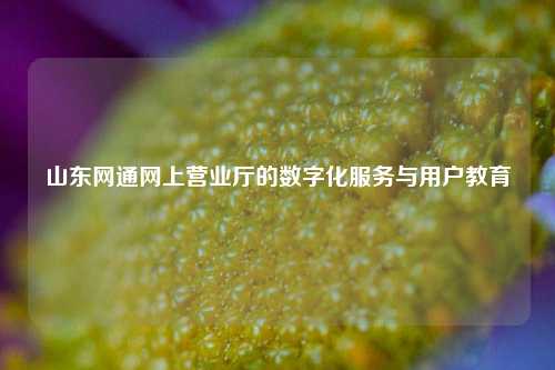 山东网通网上营业厅的数字化服务与用户教育